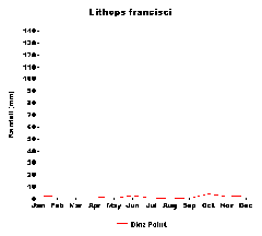 Lithops francisci