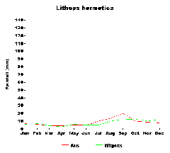 Lithops hermetica