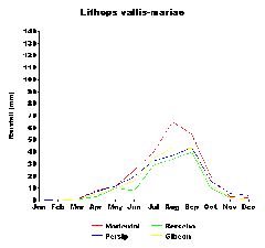 Lithops vallis-mariae